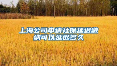 上海公司申请社保延迟缴纳可以延迟多久