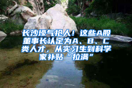 长沙壕气抢人！这些A股董事长认定为A、B、C类人才，从实习生到科学家补贴“拉满”