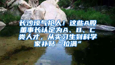 长沙壕气抢人！这些A股董事长认定为A、B、C类人才，从实习生到科学家补贴“拉满”