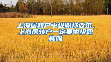 上海居转户中级职称要求，上海居转户一定要中级职称吗