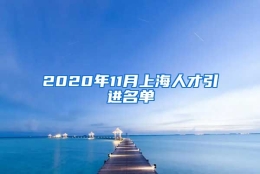 2020年11月上海人才引进名单