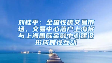 刘桂平：全国性碳交易市场、交易中心落户上海将与上海国际金融中心建设形成良性互动