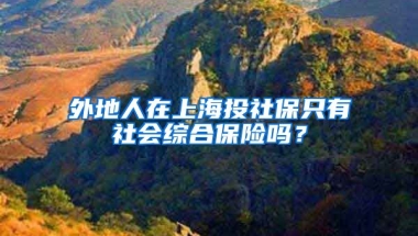 外地人在上海投社保只有社会综合保险吗？