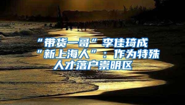 “带货一哥”李佳琦成“新上海人”：作为特殊人才落户崇明区