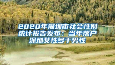 2020年深圳市社会性别统计报告发布：当年落户深圳女性多于男性