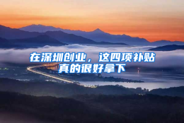 在深圳创业，这四项补贴真的很好拿下