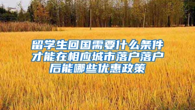 留学生回国需要什么条件才能在相应城市落户落户后能哪些优惠政策