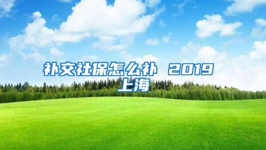 补交社保怎么补 2019 上海