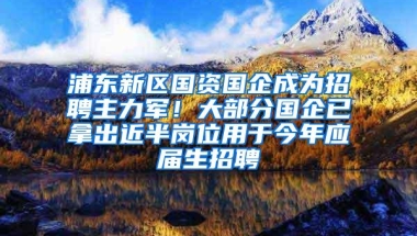 浦东新区国资国企成为招聘主力军！大部分国企已拿出近半岗位用于今年应届生招聘