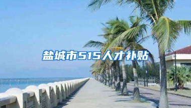 盐城市515人才补贴