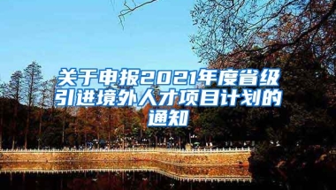 关于申报2021年度省级引进境外人才项目计划的通知