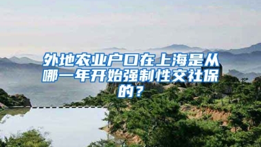 外地农业户口在上海是从哪一年开始强制性交社保的？