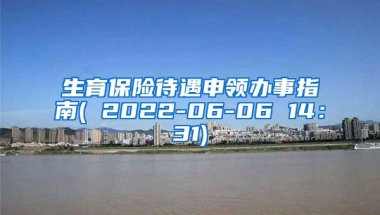 生育保险待遇申领办事指南( 2022-06-06 14：31)