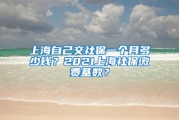 上海自己交社保一个月多少钱？2021上海社保缴费基数？