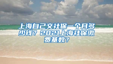 上海自己交社保一个月多少钱？2021上海社保缴费基数？