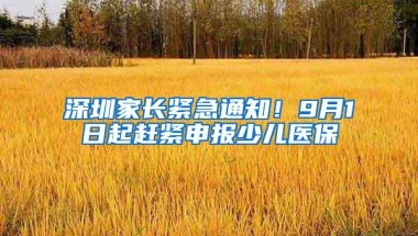 深圳家长紧急通知！9月1日起赶紧申报少儿医保