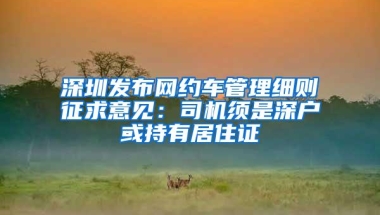 深圳发布网约车管理细则征求意见：司机须是深户或持有居住证