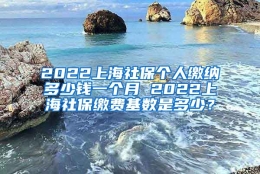 2022上海社保个人缴纳多少钱一个月 2022上海社保缴费基数是多少？