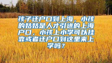 孩子迁户口到上海，小孩的姑姑是人才引进的上海户口，小孩上小学可以挂靠或者迁户口到这里来上学吗？