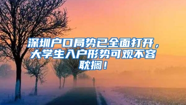 深圳户口局势已全面打开，大学生入户形势可观不容耽搁！