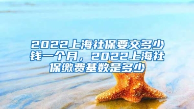 2022上海社保要交多少钱一个月，2022上海社保缴费基数是多少