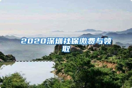 2020深圳社保缴费与领取