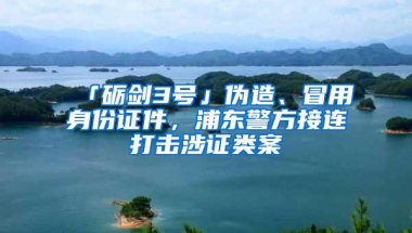 「砺剑3号」伪造、冒用身份证件，浦东警方接连打击涉证类案