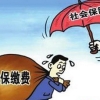 上海社保转移手续流程,上海社保跨省转移新政策