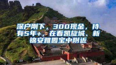 深户刚下，300现金，持有5年+，在看凯旋城、新锦安雅园宝中附近