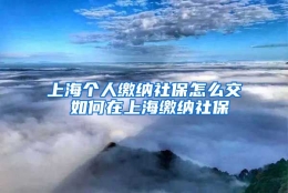 上海个人缴纳社保怎么交 如何在上海缴纳社保