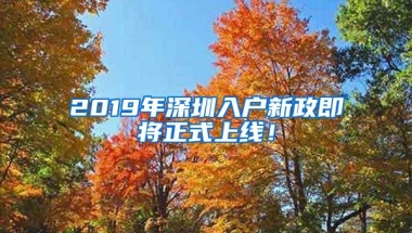 2019年深圳入户新政即将正式上线！