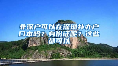 非深户可以在深圳补办户口本吗？身份证呢？这些都可以