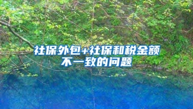 社保外包+社保和税金额不一致的问题