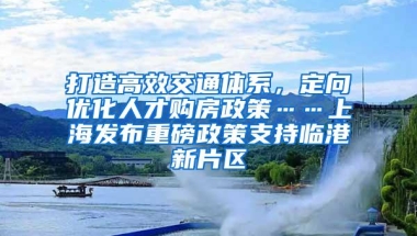 打造高效交通体系，定向优化人才购房政策……上海发布重磅政策支持临港新片区