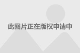 在上海社保卡、身份证等丢失了怎么办？9种重要证件补办大全！