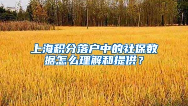 上海积分落户中的社保数据怎么理解和提供？