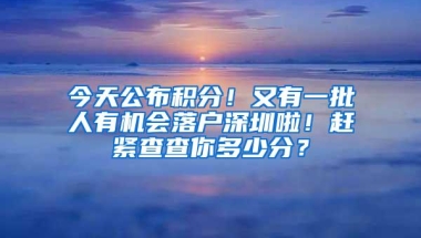 今天公布积分！又有一批人有机会落户深圳啦！赶紧查查你多少分？