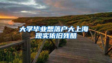 大学毕业想落户大上海 现实依旧残酷