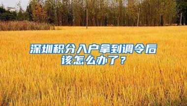 深圳积分入户拿到调令后该怎么办了？