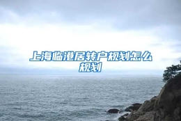 上海临港居转户规划怎么规划