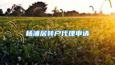 杨浦居转户代理申请