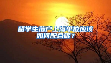 留学生落户上海单位应该如何配合呢？