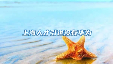 上海人才引进没有华为