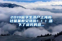 2019留学生落户上海新社保基数又涨啦！！！落下了贫穷的泪...