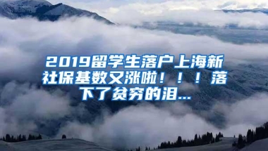 2019留学生落户上海新社保基数又涨啦！！！落下了贫穷的泪...