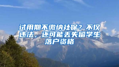 试用期不缴纳社保？不仅违法，还可能丢失留学生落户资格