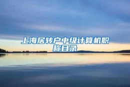 上海居转户中级计算机职称目录