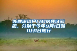 办理深圳户口和居住证新规，分别于今年9月1日和11月1日施行