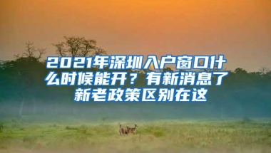 2021年深圳入户窗口什么时候能开？有新消息了 新老政策区别在这