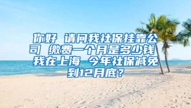 你好 请问我社保挂靠公司 缴费一个月是多少钱 我在上海 今年社保减免到12月底？